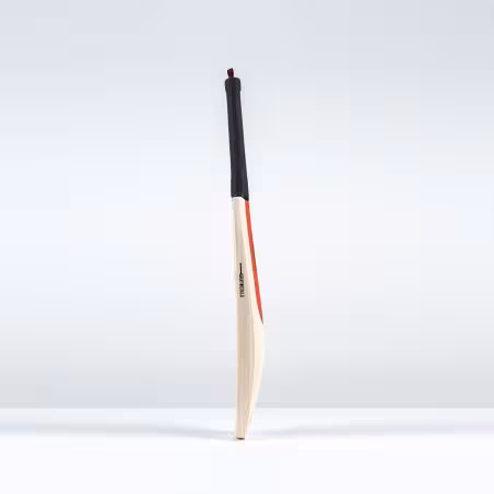 Gray-Nicolls Legend Gold Edition Cricket Bat (2026)