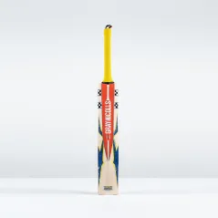 Gray-Nicolls Havoc HB317 Pro Edition Cricket Bat (2026)