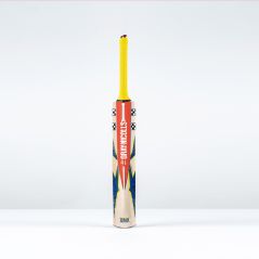 Gray-Nicolls Havoc 1.0 Warrior Junior Cricket Bat (2026)
