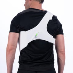 Gray-Nicolls Pro Performance Upperbody Guard (2026) - Guardie