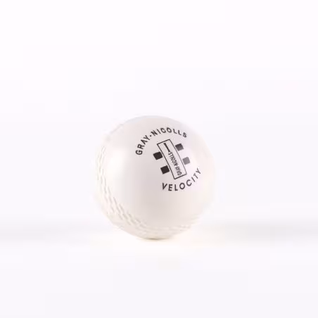 Gray-Nicolls Velocity Cricket Ball - White (2026) - Palline