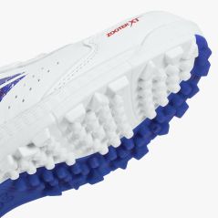DSC Zooter XT Cricket Shoes - White/Red/Blue (2026) - DSC