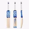 DSC Blu 4000 Cricket Bat (2026)