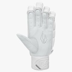 DSC Xlite L.E. Cricket Gloves (2026) - Guanti da cricket DSC