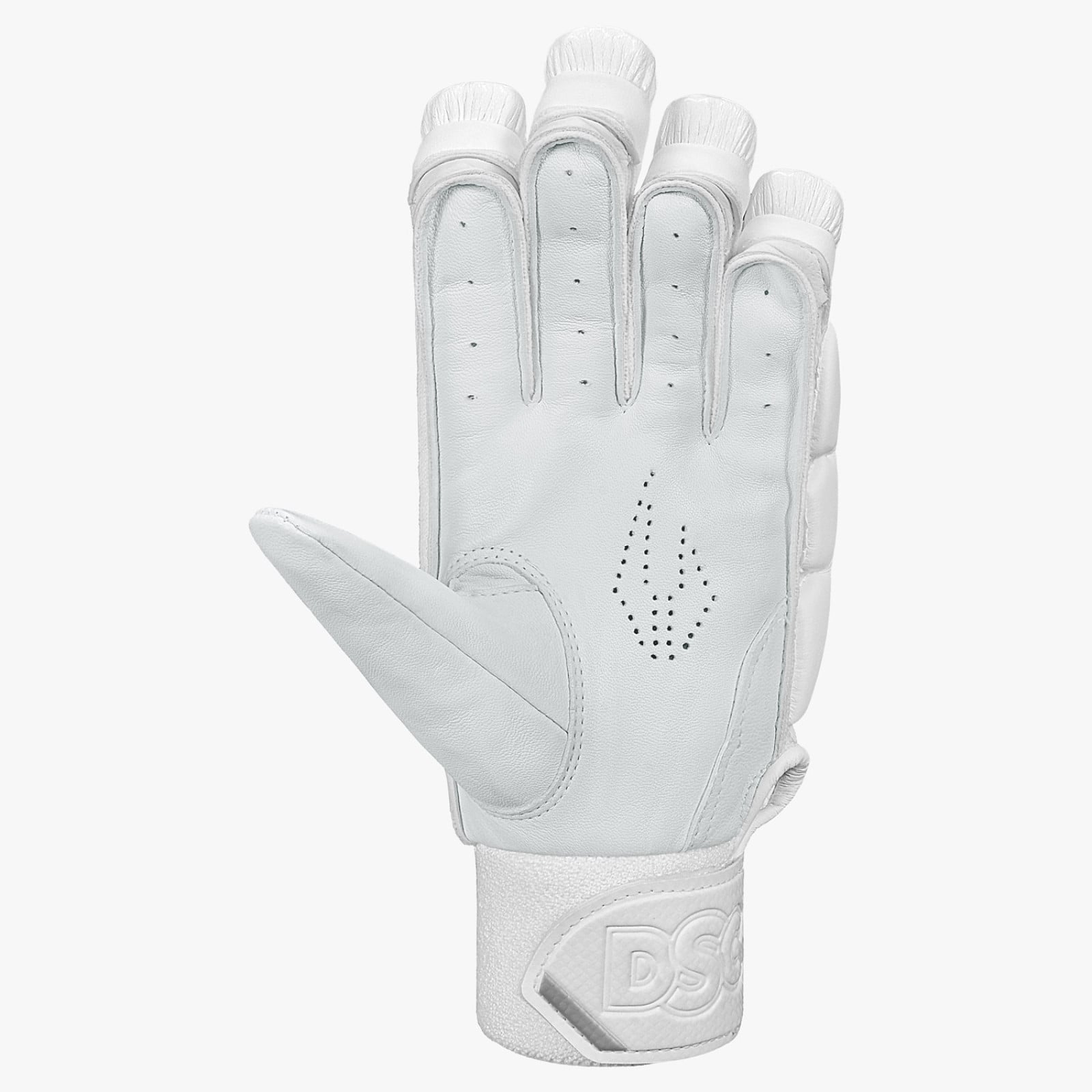 DSC Xlite L.E. Cricket Gloves (2026) - Guanti da cricket DSC