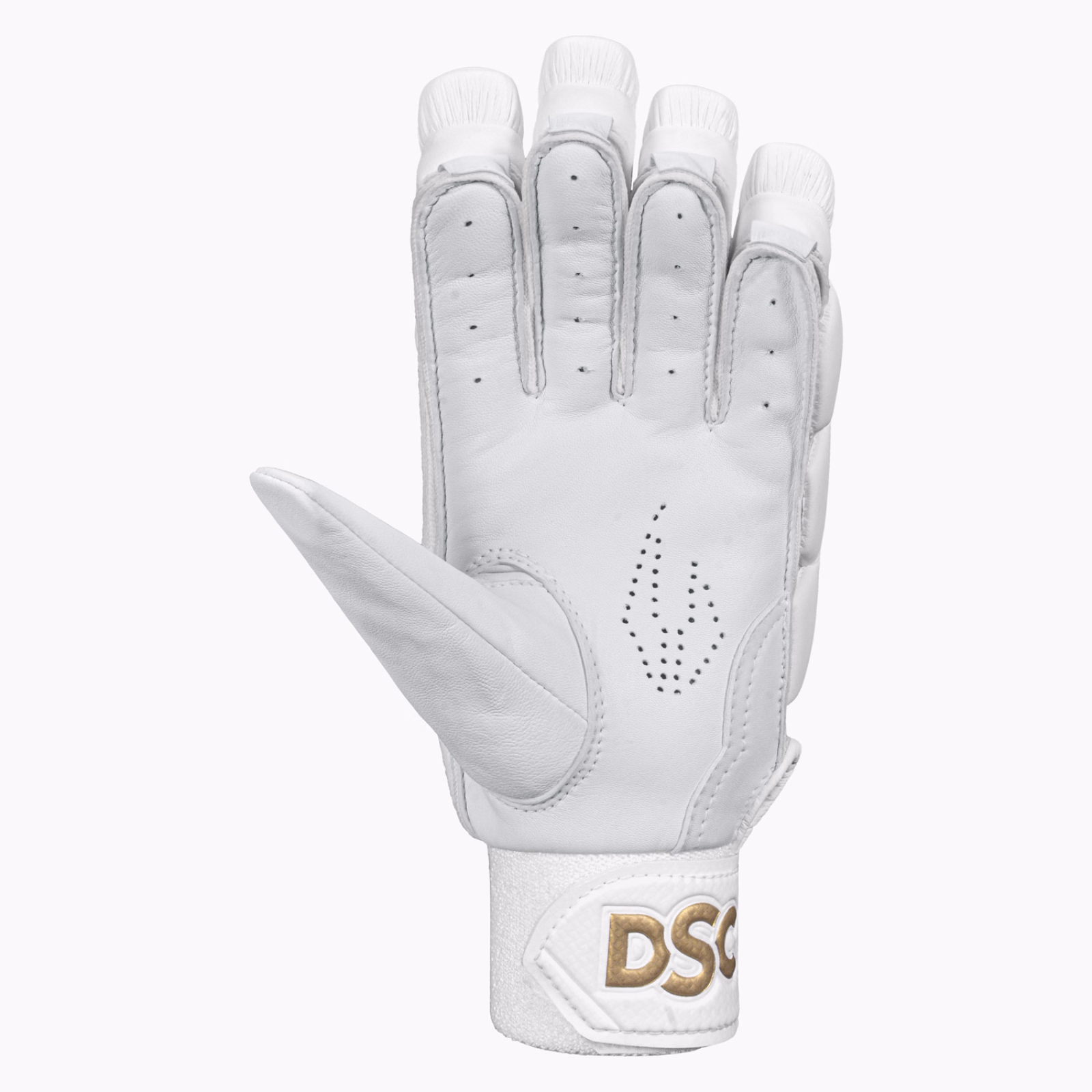 DSC Xlite 1.0 Cricket Gloves (2026) - Gants de cricket DSC