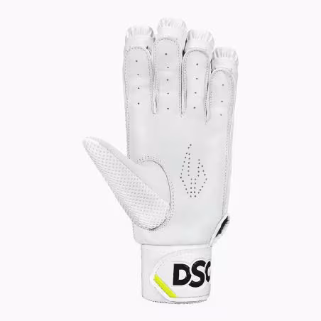 DSC Xlite 4.0 Cricket Gloves (2026)