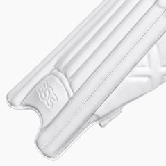 DSC Xlite L.E. Cricket Pads (2026)
