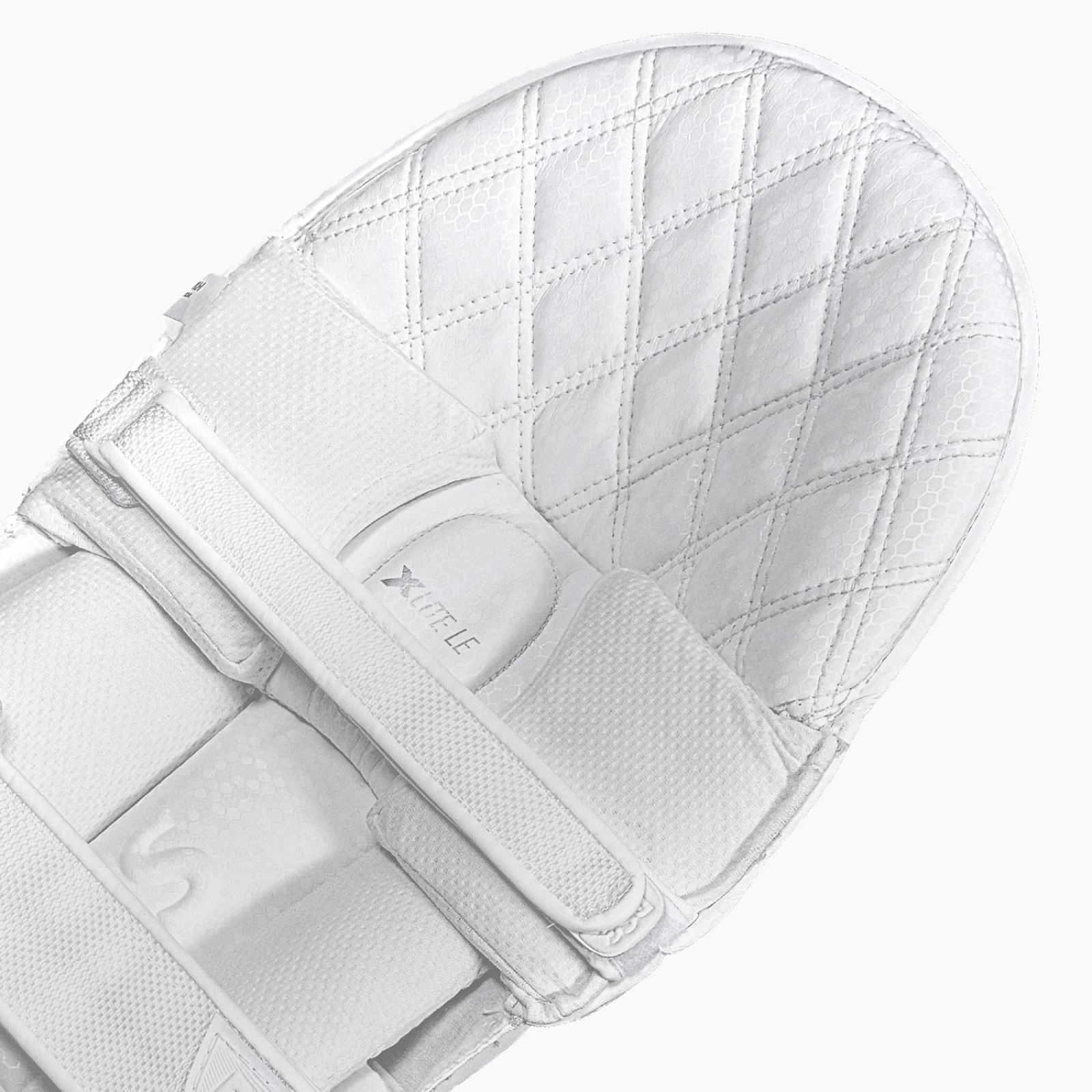 DSC Xlite L.E. Cricket Pads (2026) - DSC Cricket Beinschutz