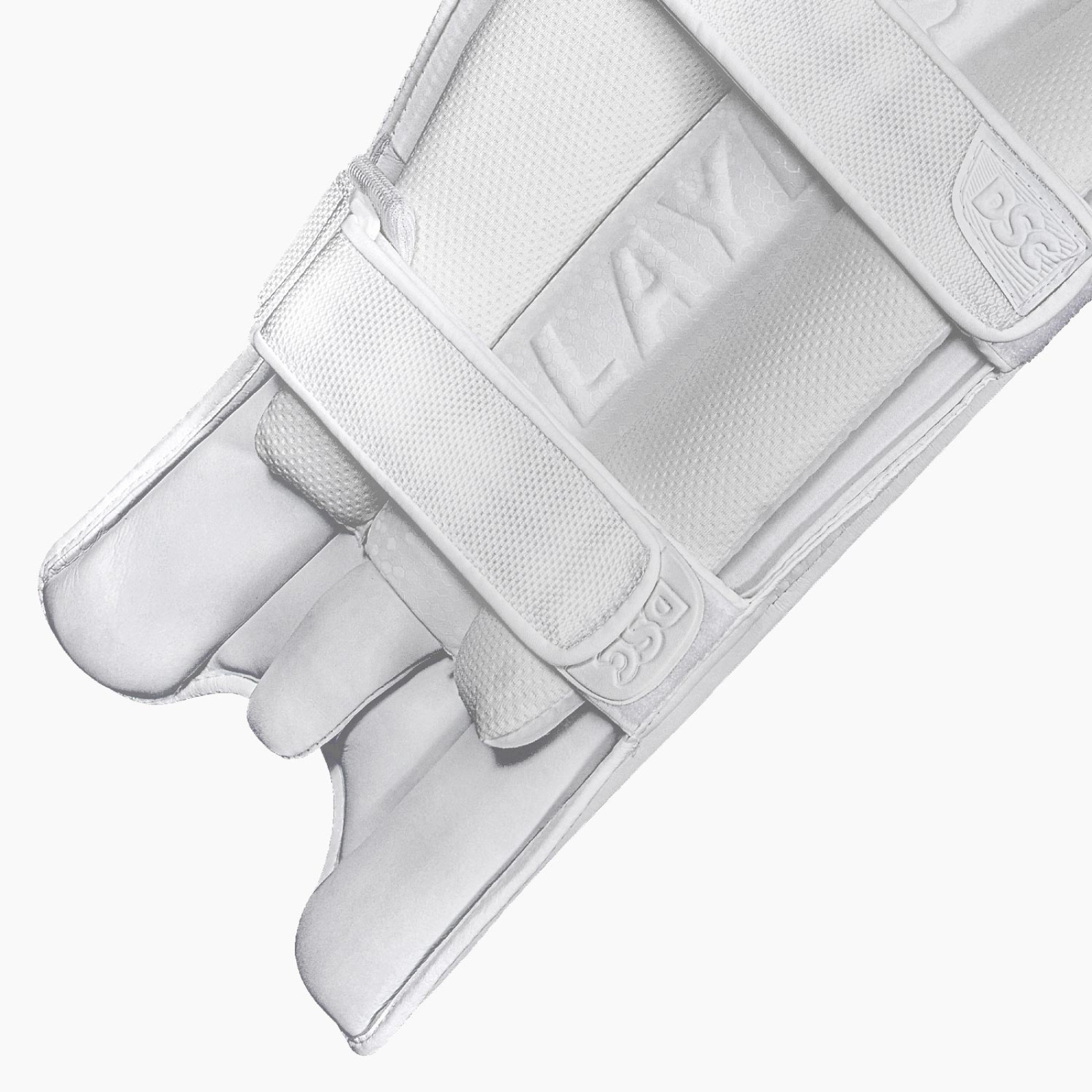 DSC Xlite L.E. Cricket Pads (2026) - DSC Cricket Beinschutz
