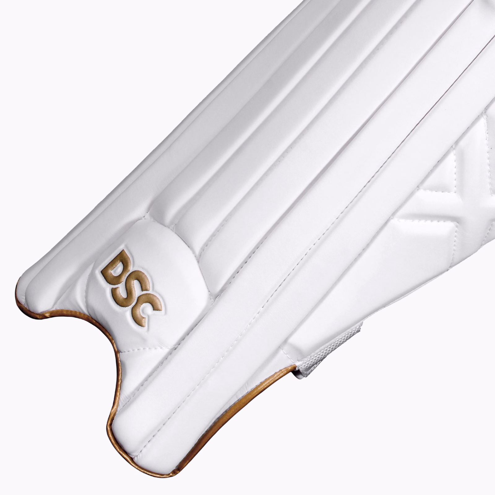 DSC Xlite 1.0 Cricket Pads (2026) - DSC Cricket Beinschutz