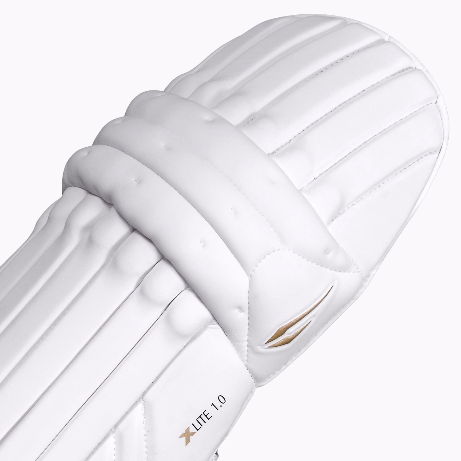 DSC Xlite 1.0 Cricket Pads (2026) - DSC Cricket Beinschutz