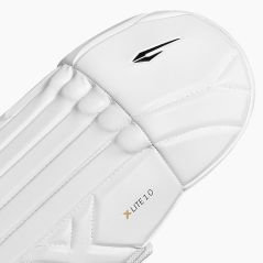 DSC Xlite 1.0 Wicket Keeping Pads (2026) - Protectores de