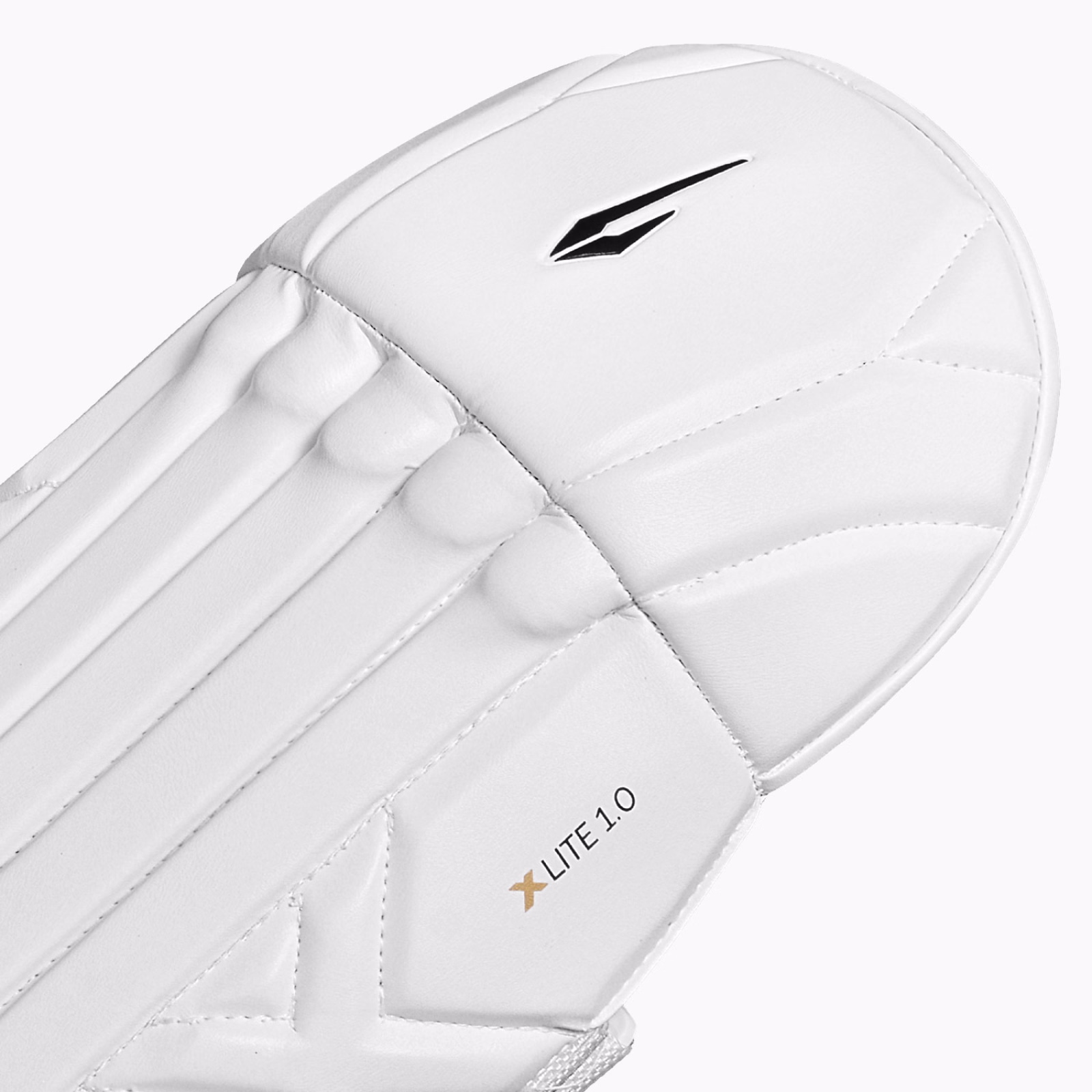 DSC Xlite 1.0 Wicket Keeping Pads (2026) - Protectores de