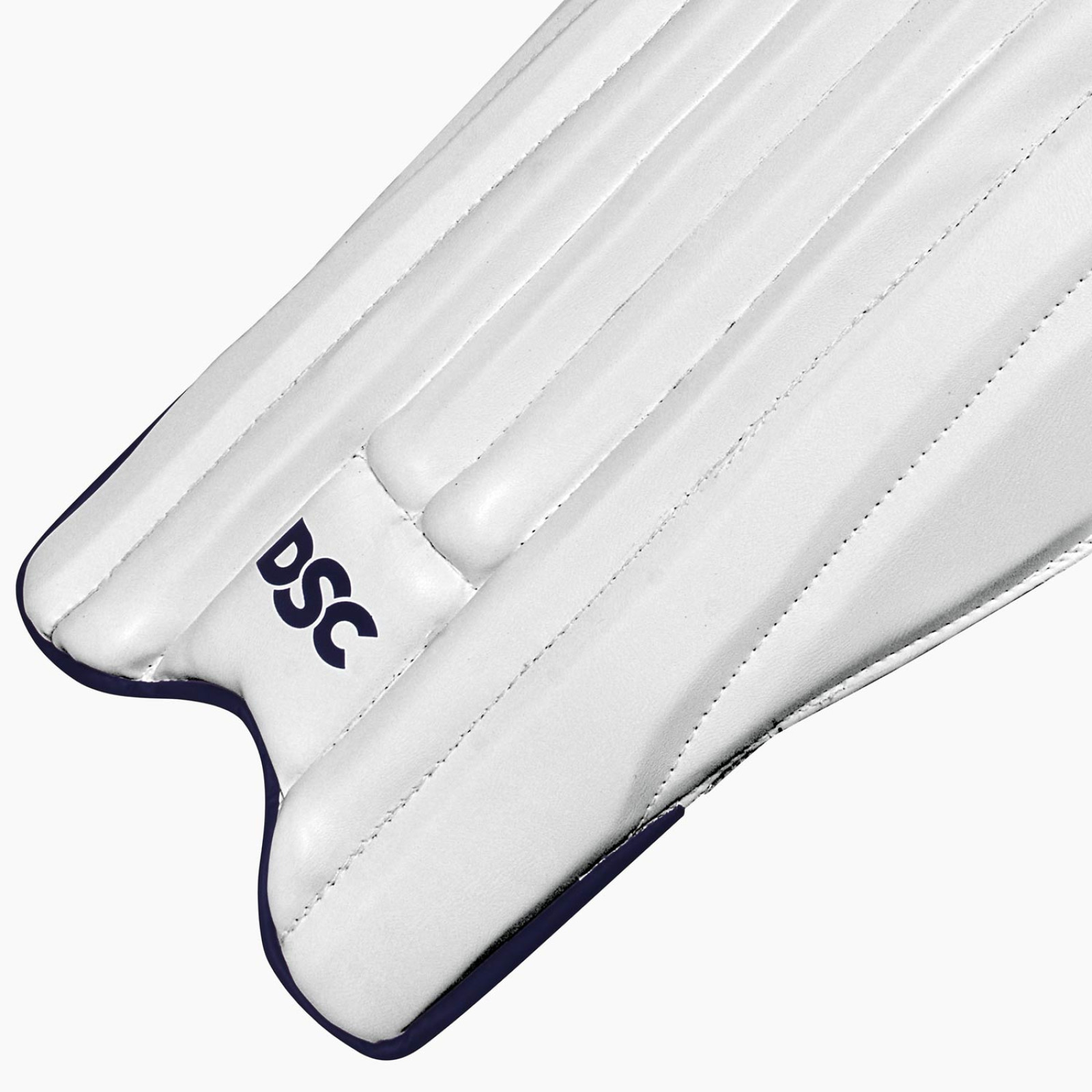 DSC Pearla X3 Wicket Keeping Pads (2026) - Paratibia da wicket