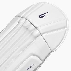DSC Pearla X3 Wicket Keeping Pads (2026) - Paratibia da wicket