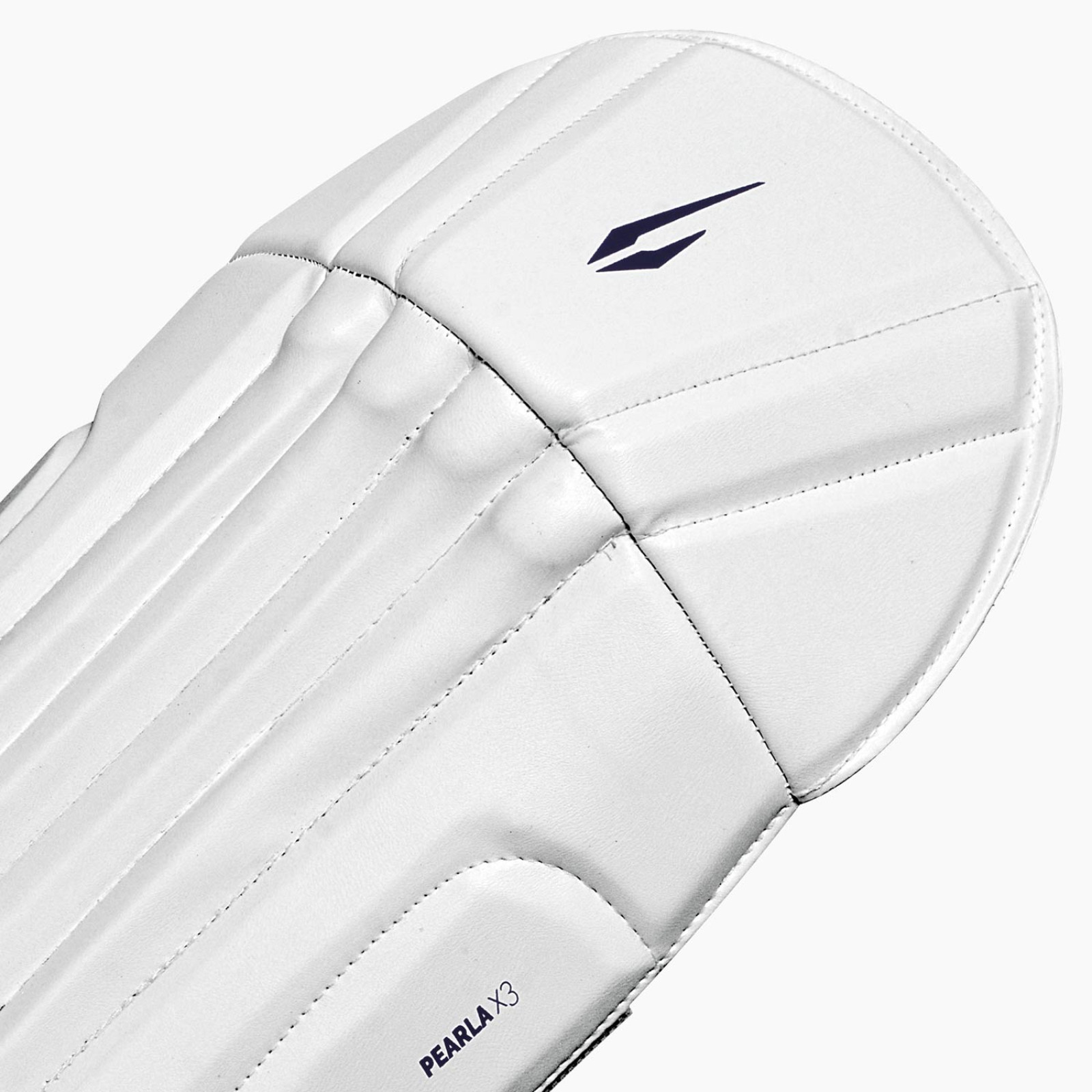DSC Pearla X3 Wicket Keeping Pads (2026) - Paratibia da wicket