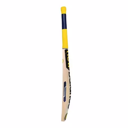 New Balance Burn 600 Cricket Bat