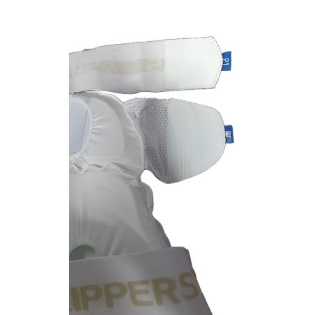 AERO P1 Strippers (V7)