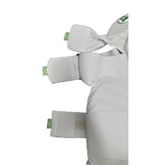 AERO P2 Strippers (V7) - Back View