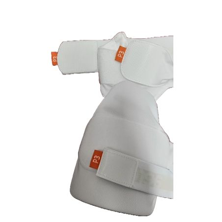 AERO P3 Strippers (V7)