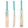 Newbery Kudos Grade 4 Junior Cricket Bat (2026)