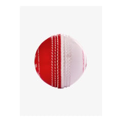 Shrey Bolt Cricket Ball (Pack of 6) - Red/White (2026) - Soft