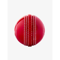Shrey Bolt Cricket Ball (Pack Of 6) - Red (2026) - Zachte
