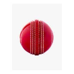 Shrey Bolt Cricket Ball (Pack of 6) - Red (2026) - Soft