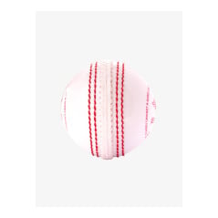 Shrey Bolt Cricket Ball (Pack of 6) - White (2026) - Soft