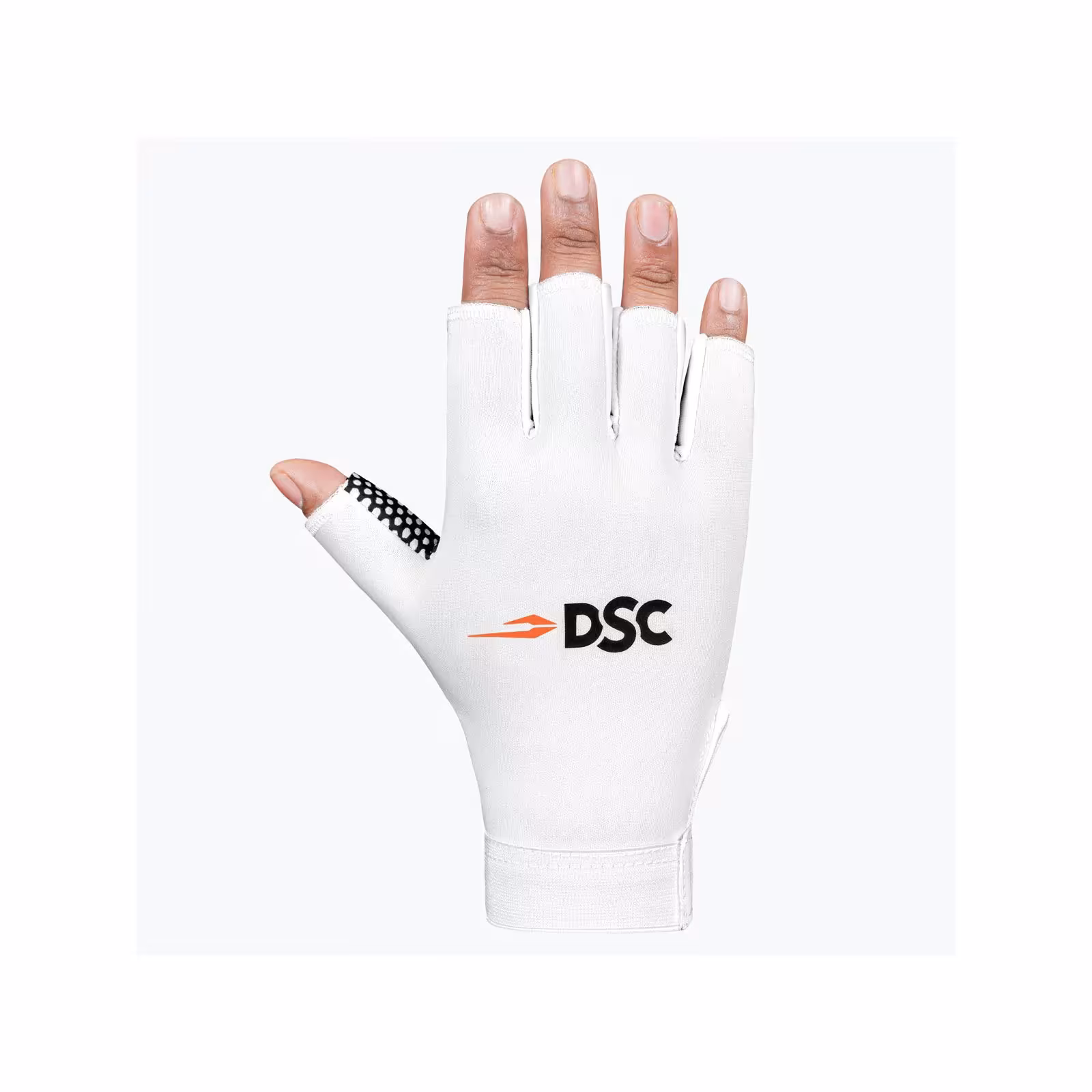 DSC Passion Catching Gloves (2026) - DSC Passion Catching Gloves (2026) - Altri accessori