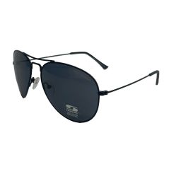 Sunwise Lancaster Sunglasses (Black) - Des lunettes de soleil