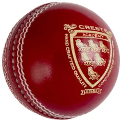 Pelota de Cricket Nicolls Crest Academy gris (2020)