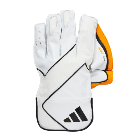 - Gants de maintien de guichet