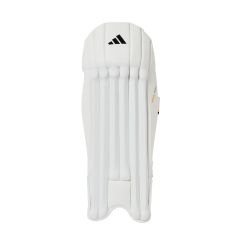 - Paratibia da wicket keeping