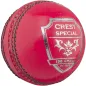 Grijze Nicolls Crest Special Cricket Ball - Pink (2020)