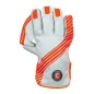 Hunts County Envy Wicket Keeping Gloves (2019)