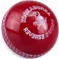 Kookaburra Reverse Swing Trainer Ball (2023)