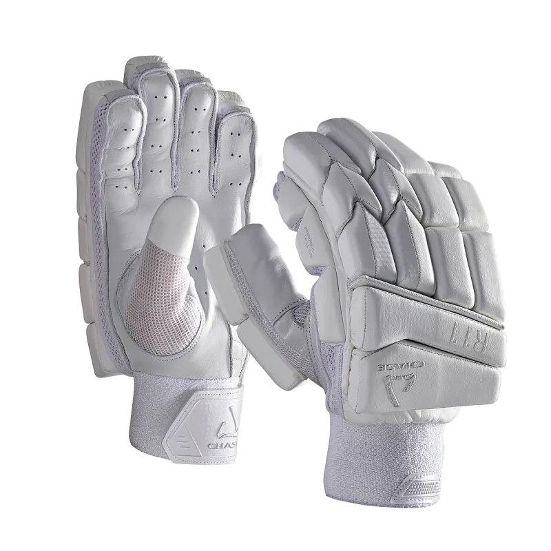 Chase R11 Cricket Gloves (2019)