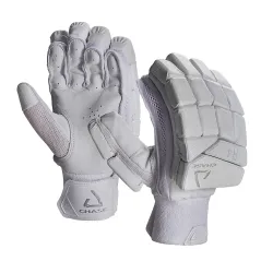 Chase R4 Cricket Gloves (2024)
