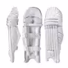 Chase Four Leaf Clover Cricket Pads (2024)