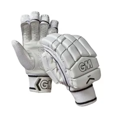 GM 505 Cricket Gloves (2020)