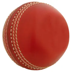 Pelota en miniatura Nicolls gris (2020) - Otros accesorios