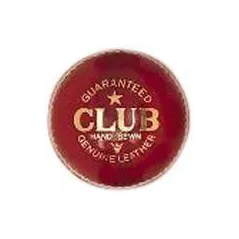 Readers Club Cricket Ball