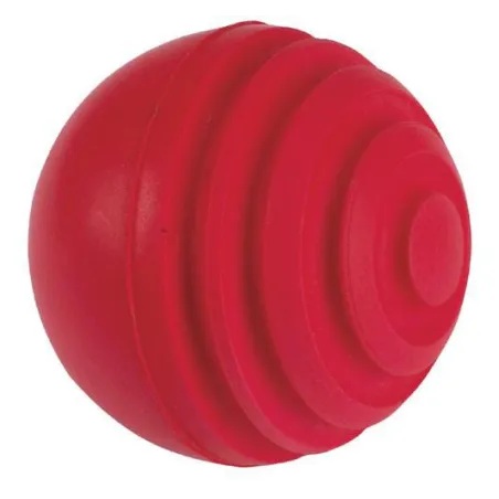 Gray-Nicolls Wobbleball Indoor (2023)