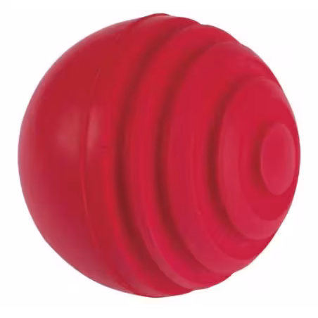 Gray-Nicolls Wobbleball Indoor (2026)