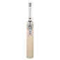 Newbery Renegade Player Junior Cricket Bat (2021)