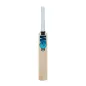 GM Diamond Limited Edition Cricket Bat (2023)
