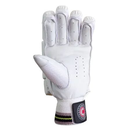 Hunts County Neo Cricket Gloves (2022)