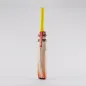 Gray Nicolls Powerbow Original Cricket Bat (2022)